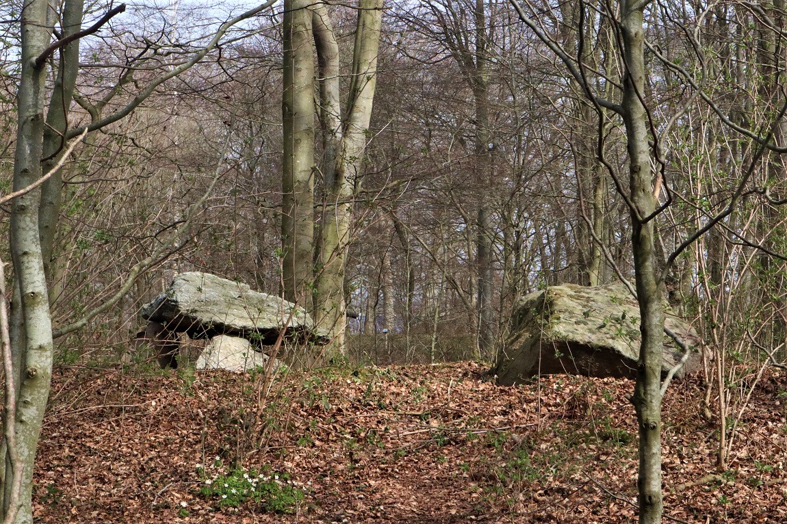 Click for the gallery page to add comments and vote (PID:242229) Gudbjerg Langdysse 3