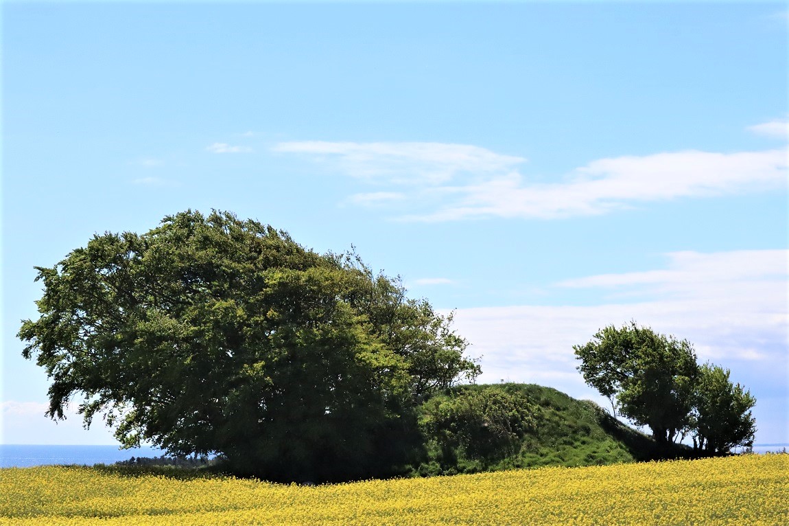Click for the gallery page to add comments and vote (PID:214598) Leghøi Rundhøj (Isgård)