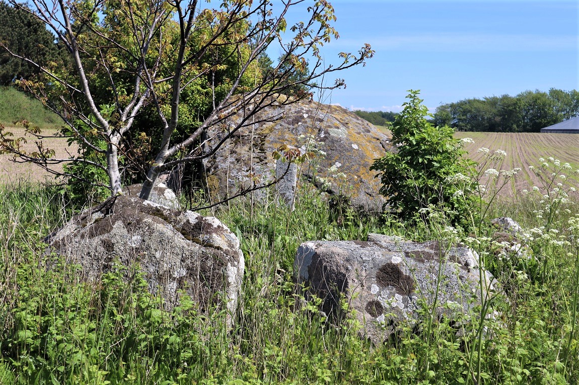 Click for the gallery page to add comments and vote (PID:224695) Horne Smohøj Jættestue
