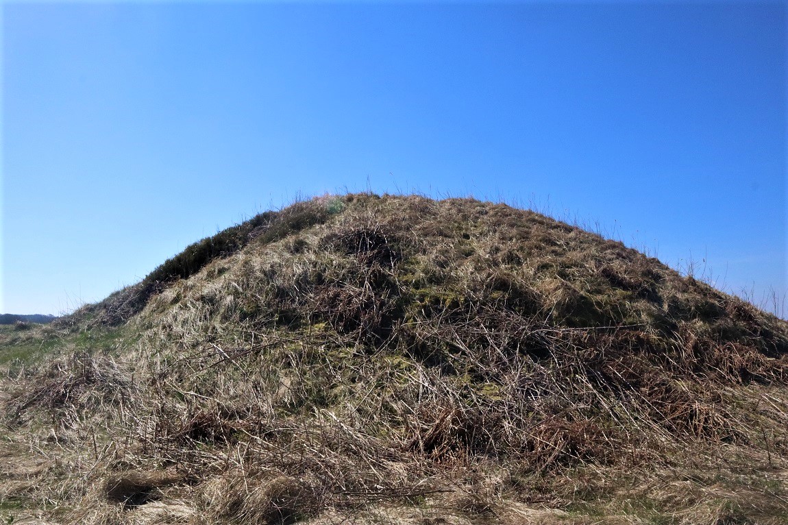 Click for the gallery page to add comments and vote (PID:246696) Iglsø Hvalshøje Jættestue