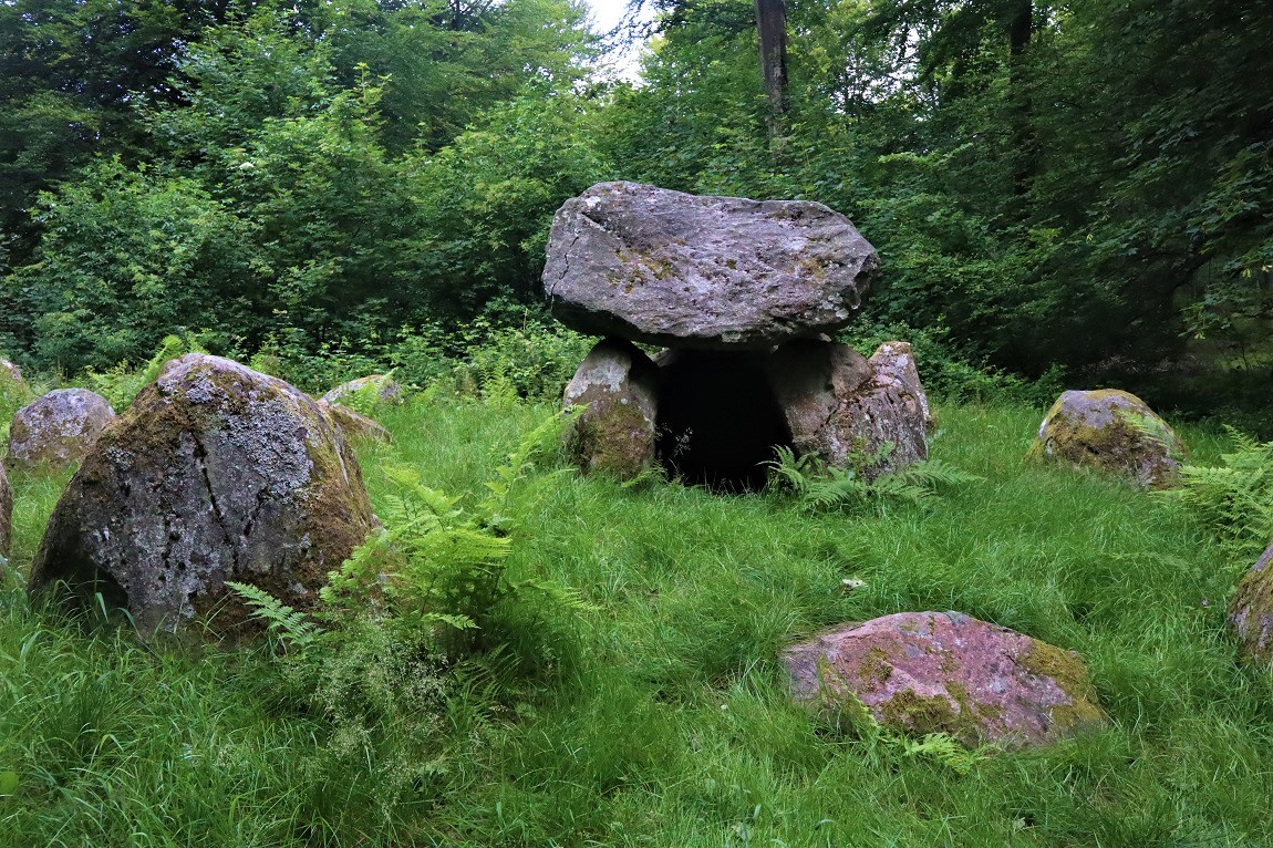 Click for the gallery page to add comments and vote (PID:223521) Valby Hegn Langdysse 4