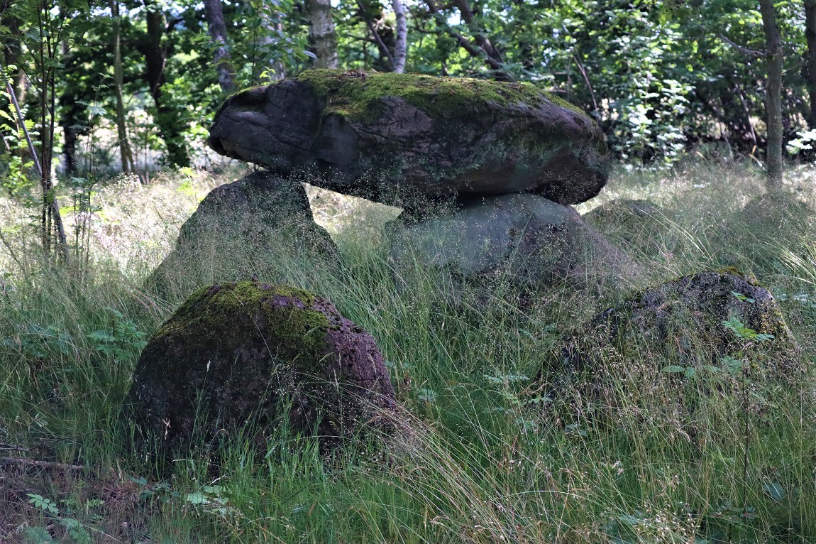 Click for the gallery page to add comments and vote (PID:244579) Mårup Runddysse 4