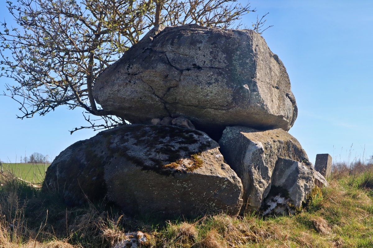 Herlufmagle Jættestue 1