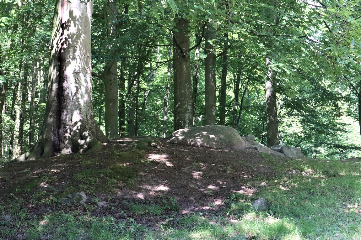 Click for the gallery page to add comments and vote (PID:216580) Bogø Østerskov Hulehøj Jættestue