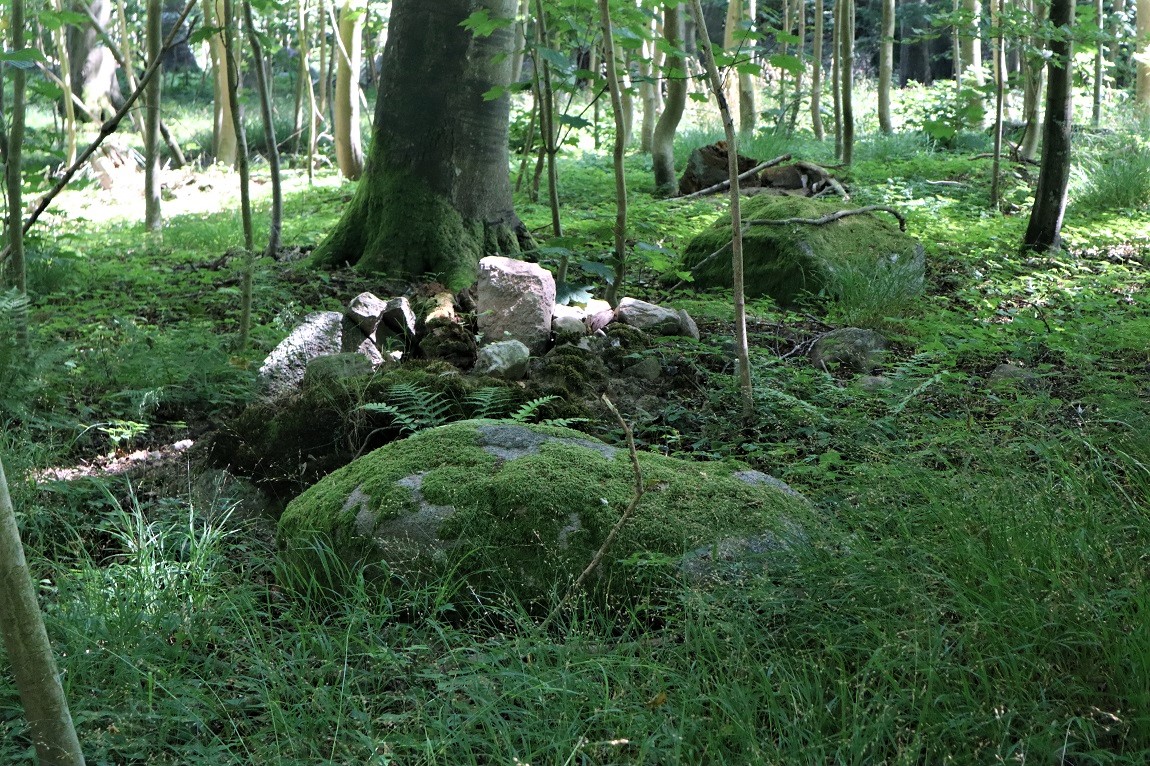 Click for the gallery page to add comments and vote (PID:214900) Bogø Østerskov Langdysse 1