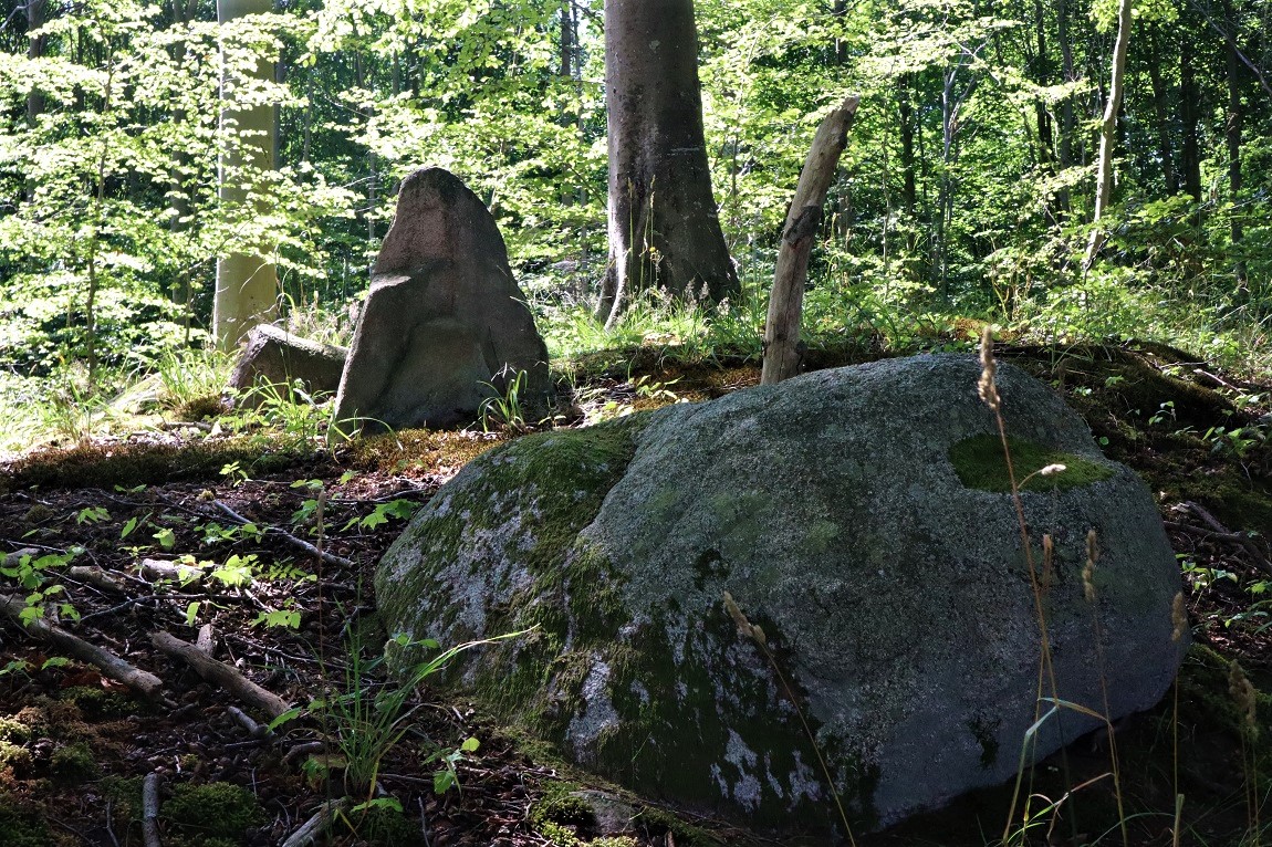 Click for the gallery page to add comments and vote (PID:214797) Bogø Østerskov Langdysse 2