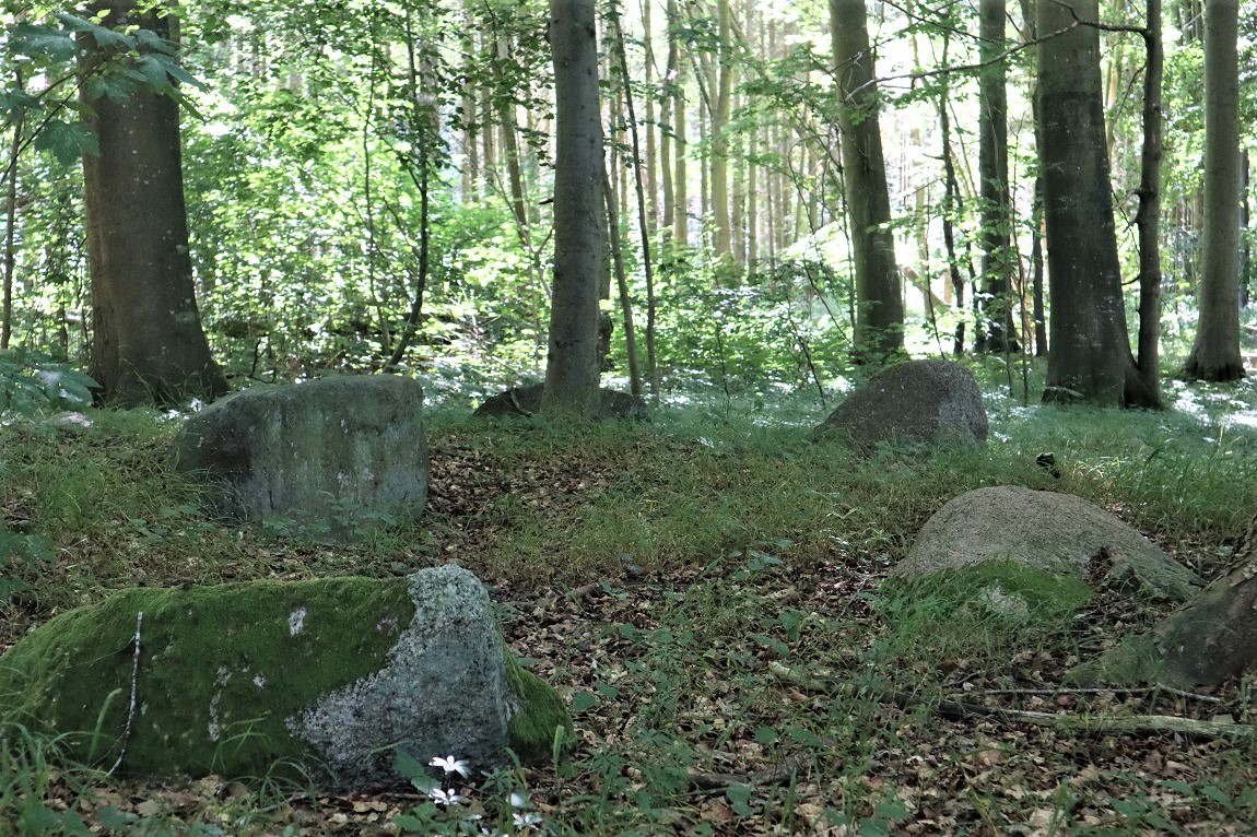 Click for the gallery page to add comments and vote (PID:214748) Bogø Østerskov Runddysse