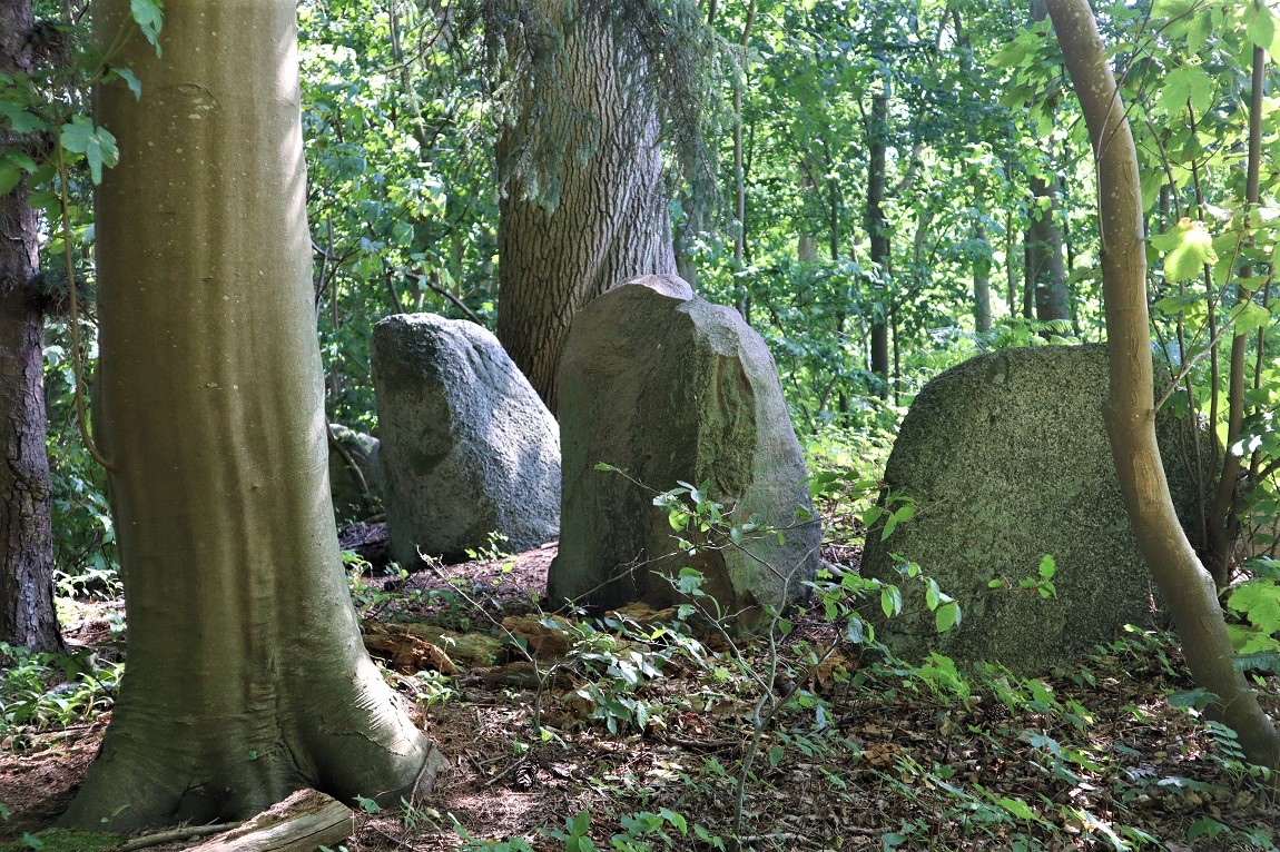 Click for the gallery page to add comments and vote (PID:214831) Bogø Østerskov Langdysse 5
