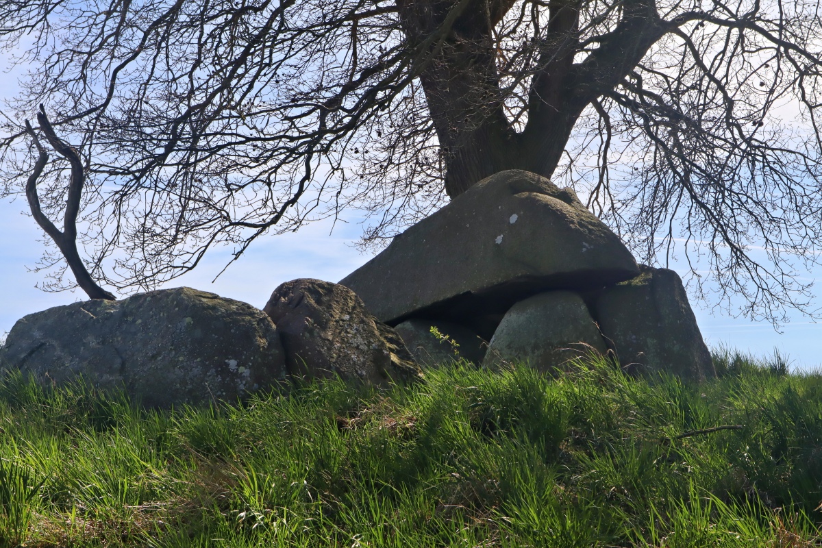 Nyrup Langdysse 1