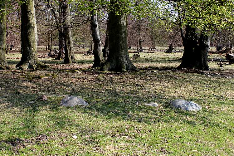 Click for the gallery page to add comments and vote (PID:76084) Jægersborg Dyrehave Runddysse 1