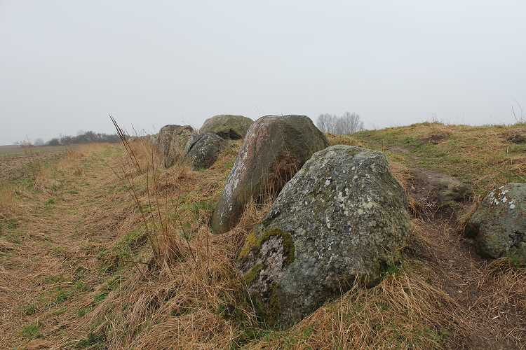 Click for the gallery page to add comments and vote (PID:75266) Slagelse Kongedyssen