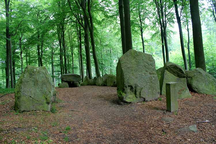 Korsør Skov Langdysse
