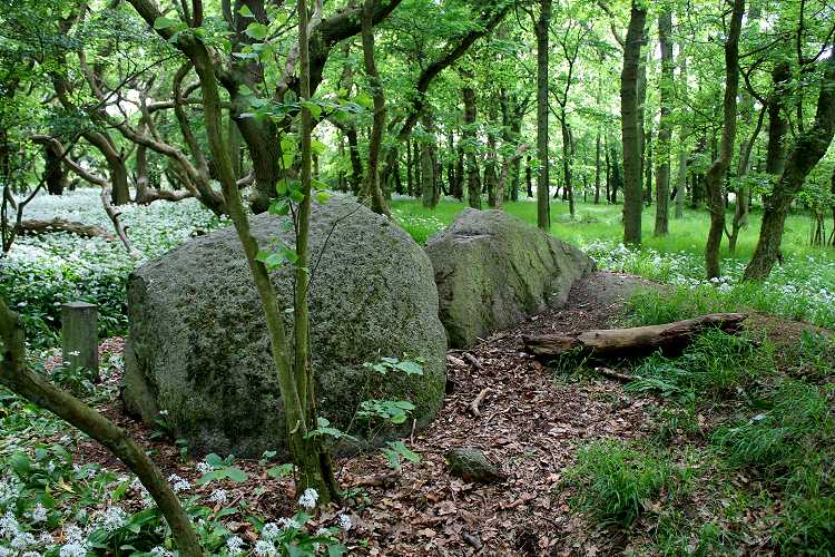 Click for the gallery page to add comments and vote (PID:77025) Korsør Skov Megalitgrav