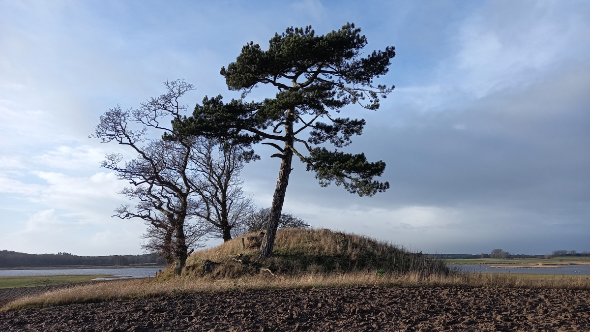 Click for the gallery page to add comments and vote (PID:253826) Lindesgaard Rundhøj