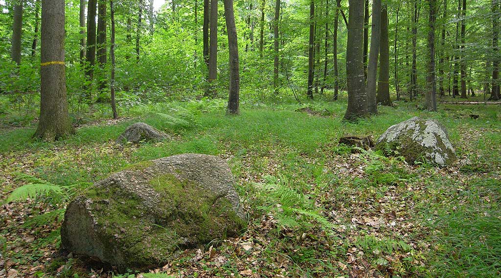 Melved Skov Langdysse 1