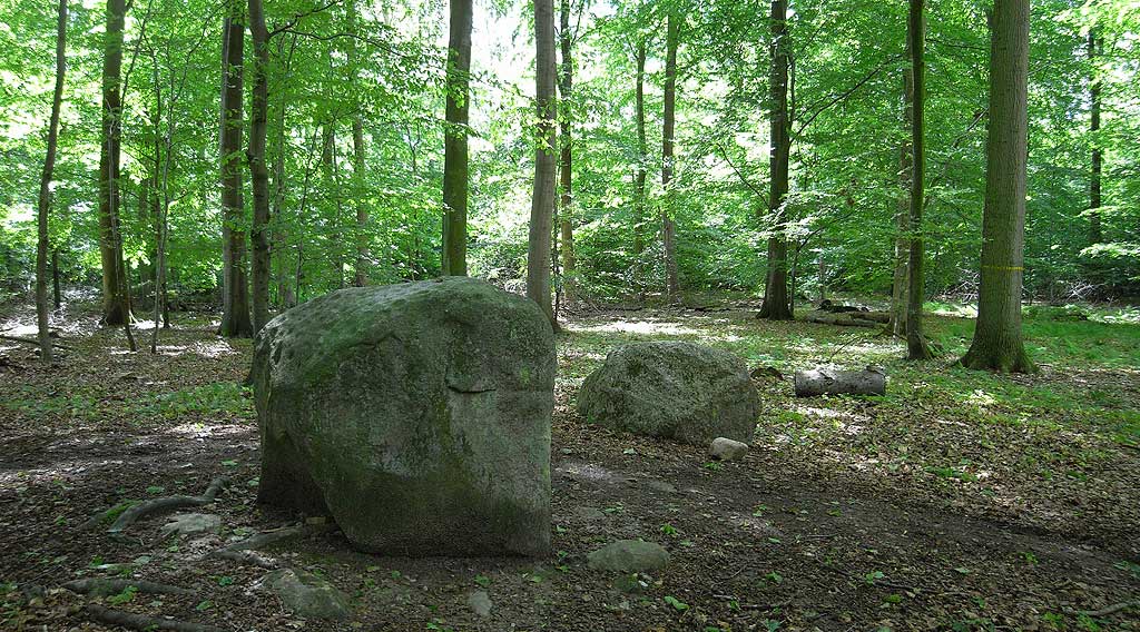 Melved Skov Runddysse 2 (Skåltegn)