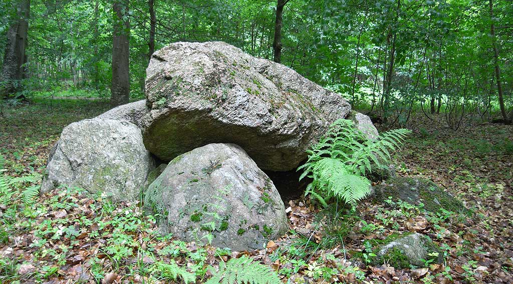 Melved Skov Runddysse 1