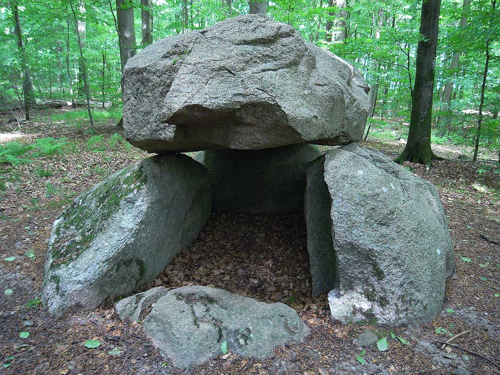 Melved Skov Langdysse 2
