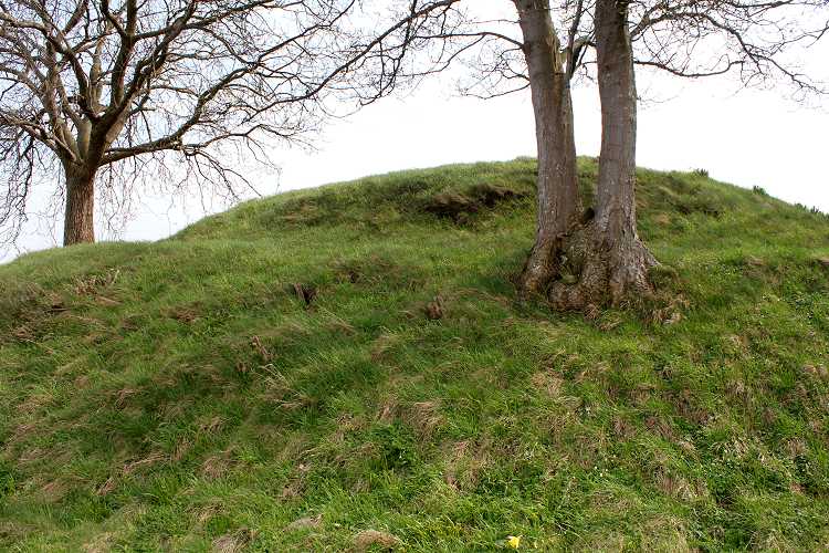 Click for the gallery page to add comments and vote (PID:75704) Møns Sneglehøj