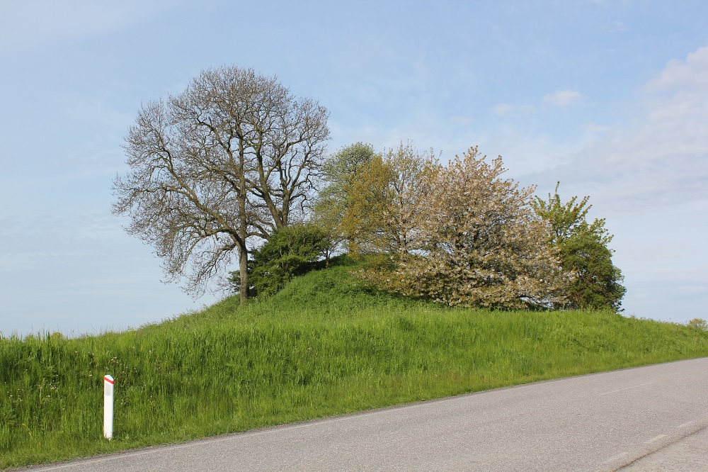 Click for the gallery page to add comments and vote (PID:164287) Store Munkegård Rundhøj