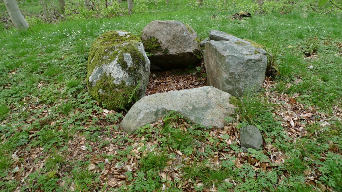Sjellerup Skov Runddysse 2