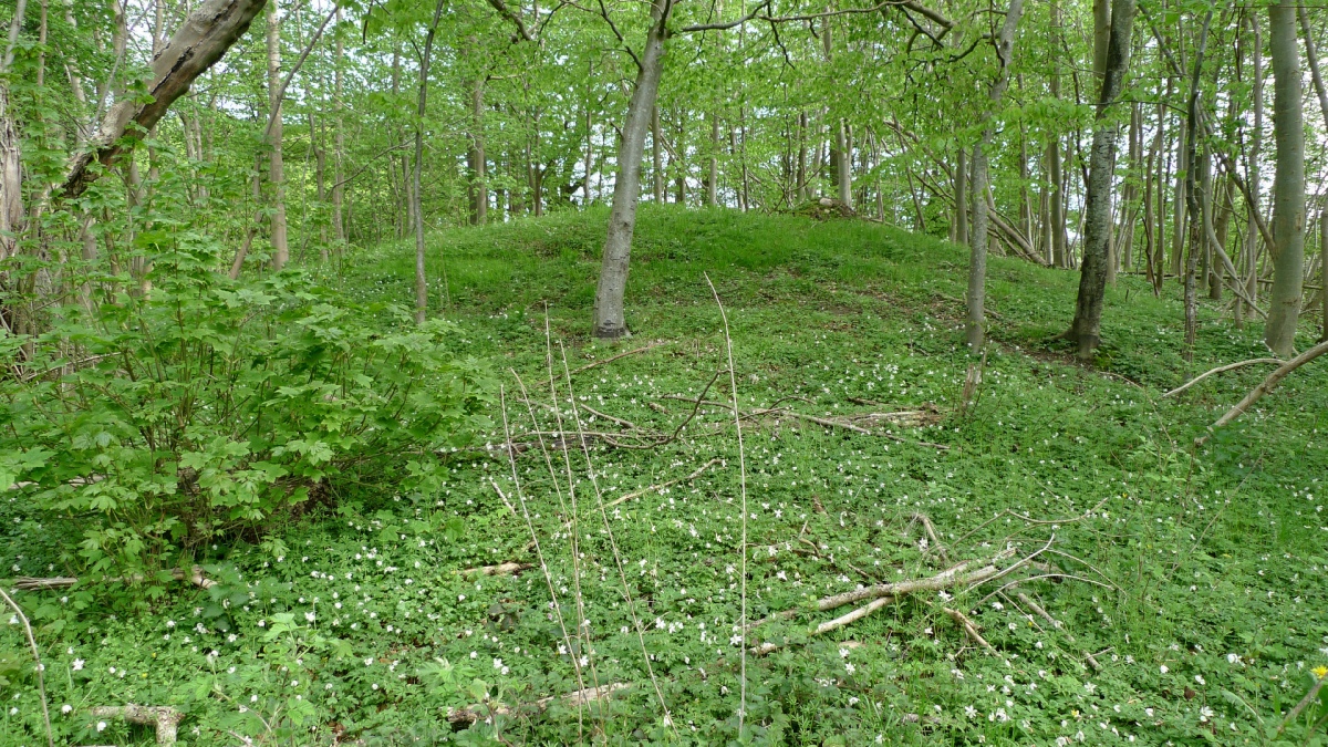 Gammel Østerholm Runddysse