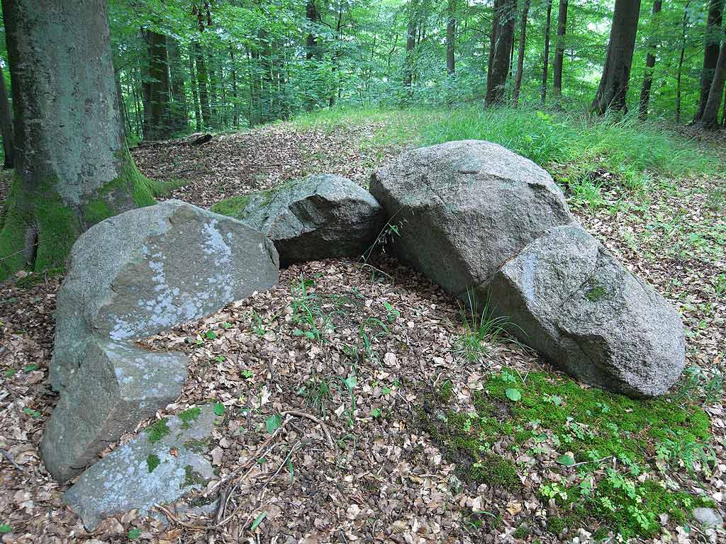 Østerholm Runddysse 1