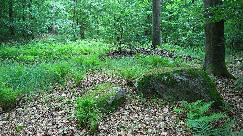 Østerholm Runddysse 2