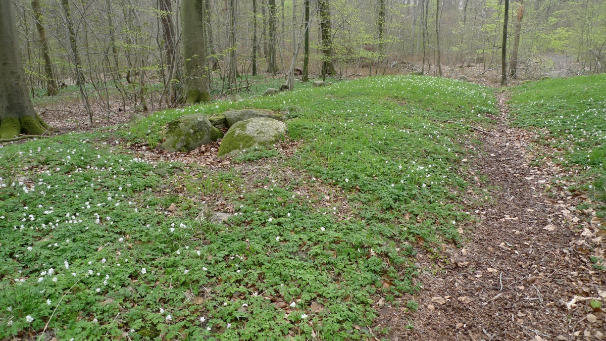 Oleskobbel Langdysse
