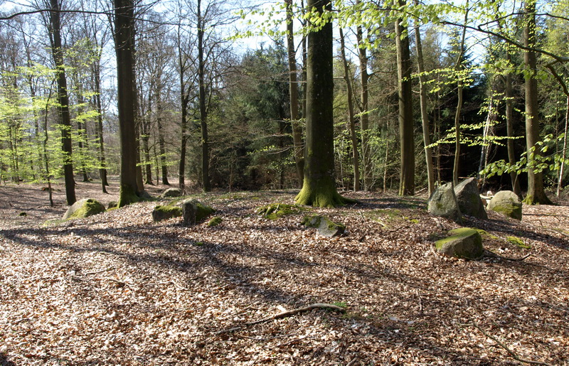Horserød Hegn Langdysse 4