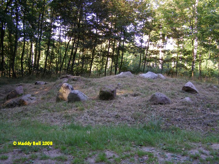 Click for the gallery page to add comments and vote (PID:42626) Pæregård Skov Runddysse