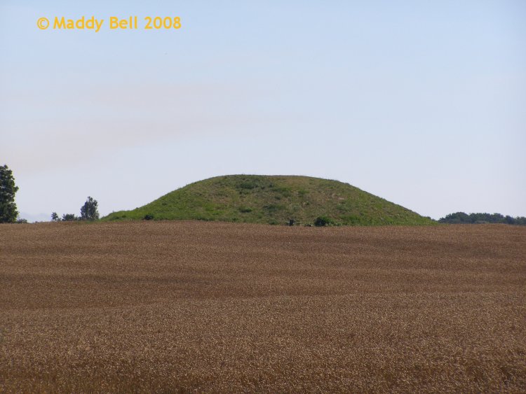 Click for the gallery page to add comments and vote (PID:41809) Røddinge Klekkende Høj Jættestue