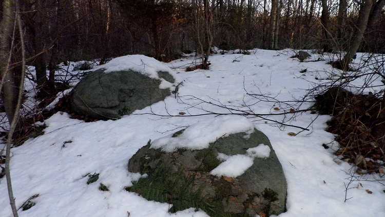 Click for the gallery page to add comments and vote (PID:72059) Pipstorn Skov Runddysse