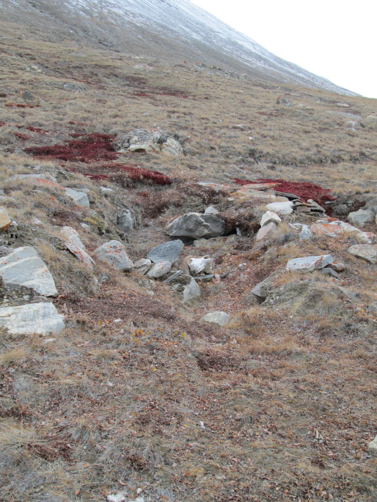 Rendalen Hut Site