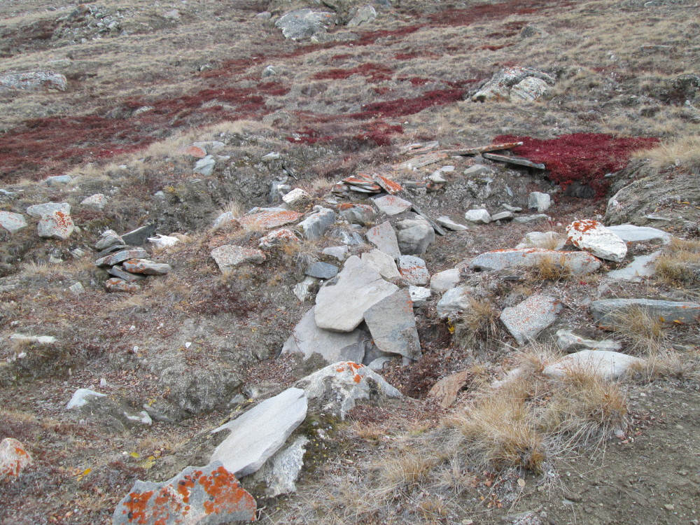 Rendalen Hut Site