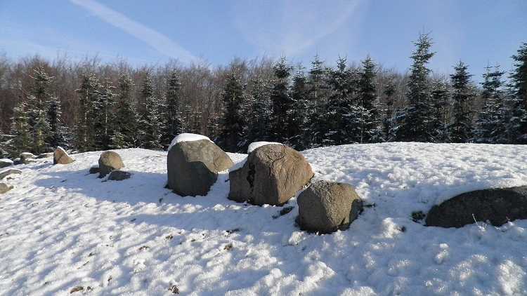 Snave Skov Ringelshøj Langdysse