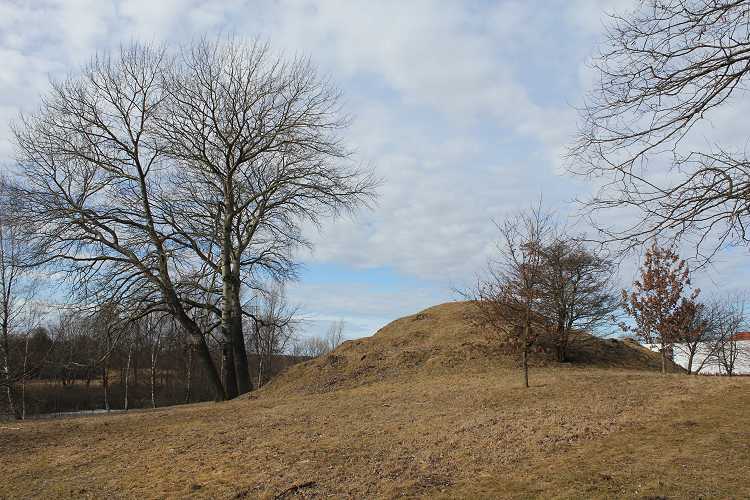Click for the gallery page to add comments and vote (PID:74527) Rørtang Sneglehøj