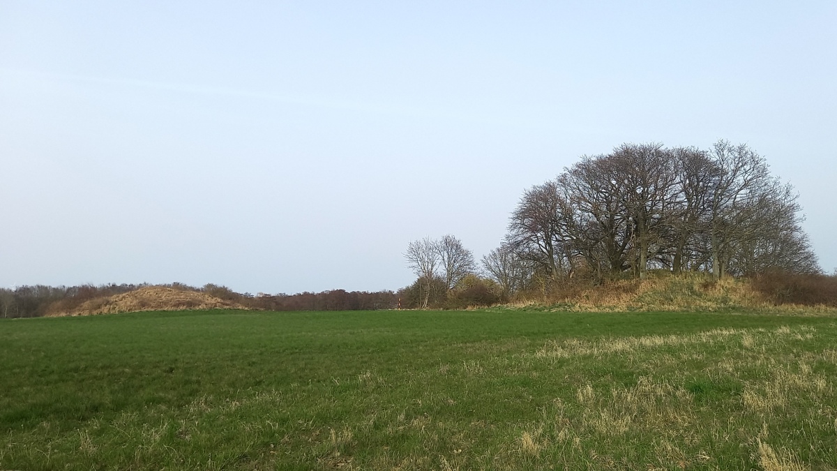 Click for the gallery page to add comments and vote (PID:271153) Rosmannegård Rundhøj 2 & 3