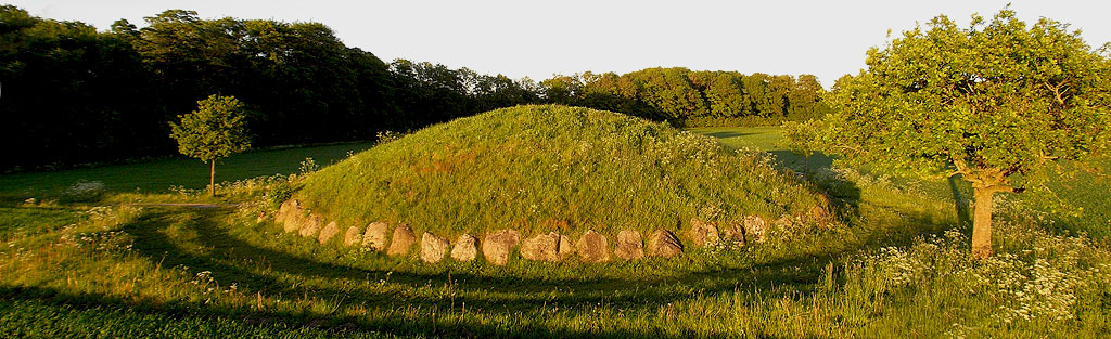 Round Barrow with enclosed Passage Grave 'Grønhøj', 1940 excavated and restored.
The mound measures approx. 20 m in diameter and is approx. 2.75 m high.
There is a passage inside from the mounds southeast side.
The chamber measures approx. 3.50 x 2.75 m and is 1.5 to 1.7 m high,
set of 8 carrying stones and covered with 2 capstones.
Passage, which measures approx. 4 x 1 m and is about 1 m h