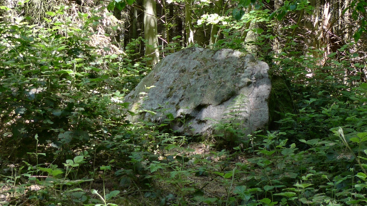 Rumohrsgård Dyrehaven Runddysse 1