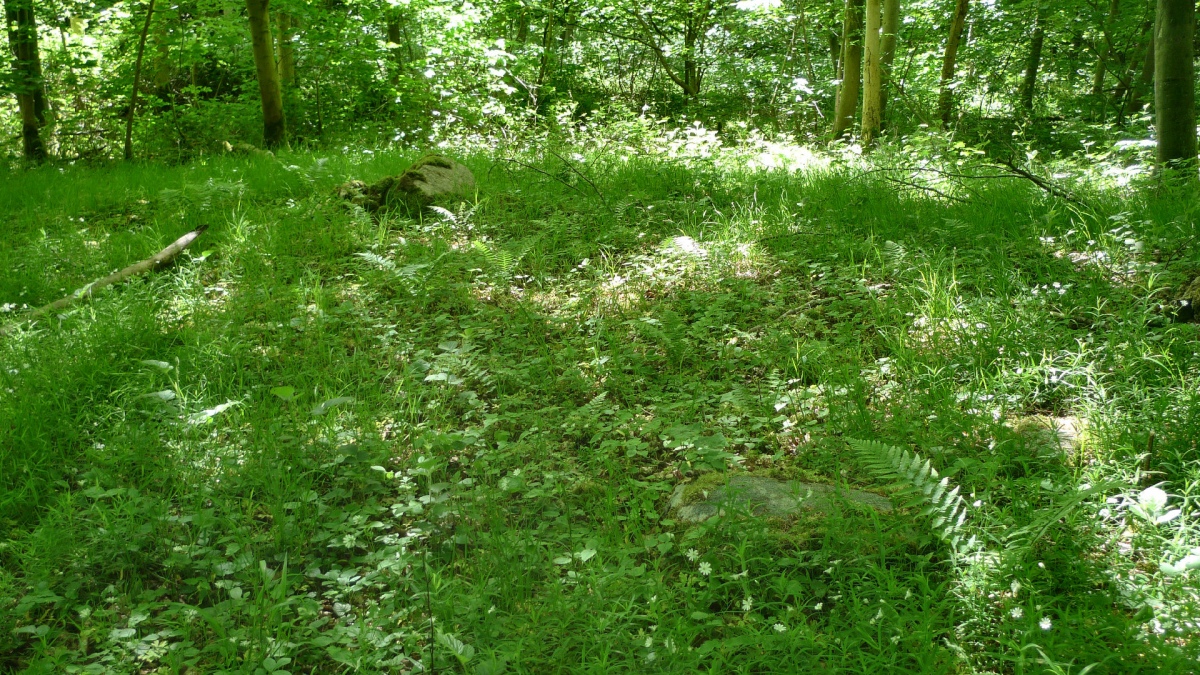 Rumohrsgård Dyrehaven Runddysse 2