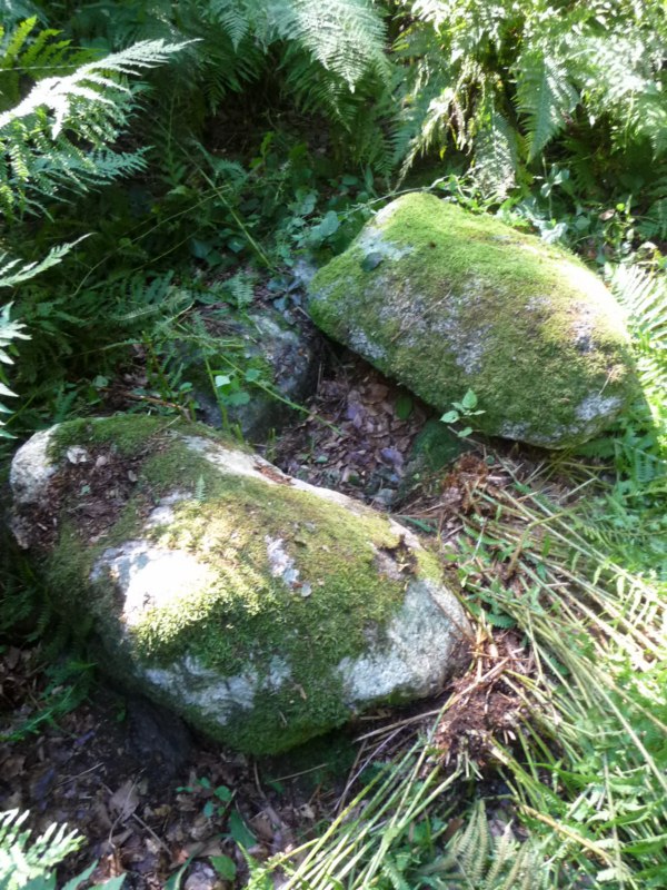 Rumohrsgård Dyrehaven Langdysse 1