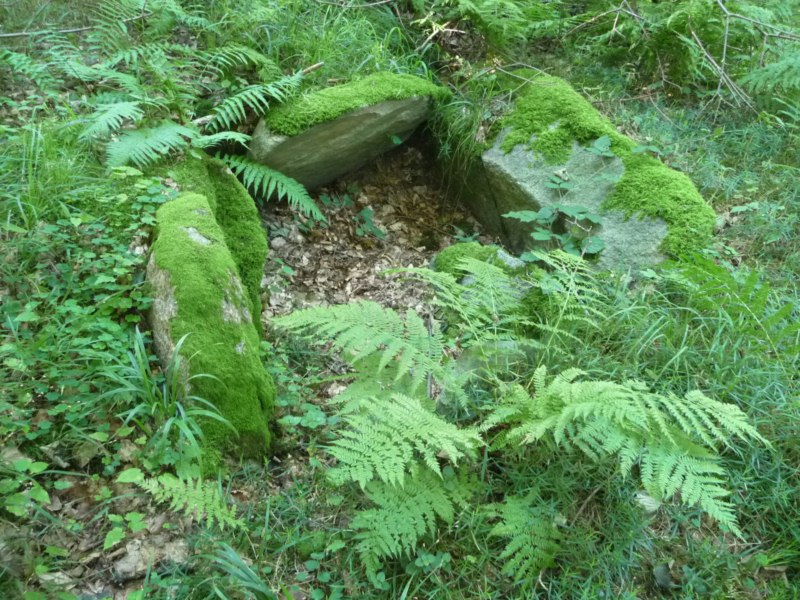 Click for the gallery page to add comments and vote (PID:72607) Rumohrsgård Dyrehaven Langdysse 2