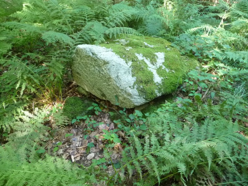 Rumohrsgård Dyrehaven Langdysse 2