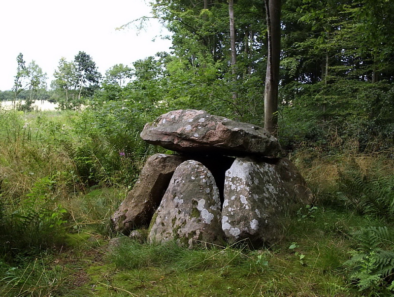 Grevinge Skov Runddysse 1