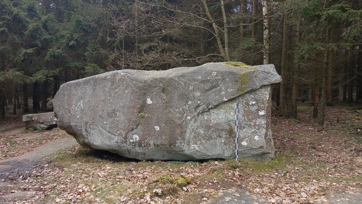 Click for the gallery page to add comments and vote (PID:271210) Rutsker Højlyng Vandreblok 2