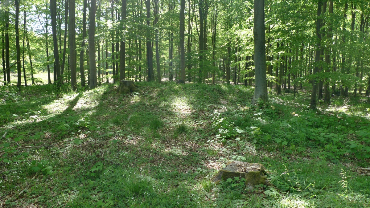 Sønderskov Runddysse (Als)