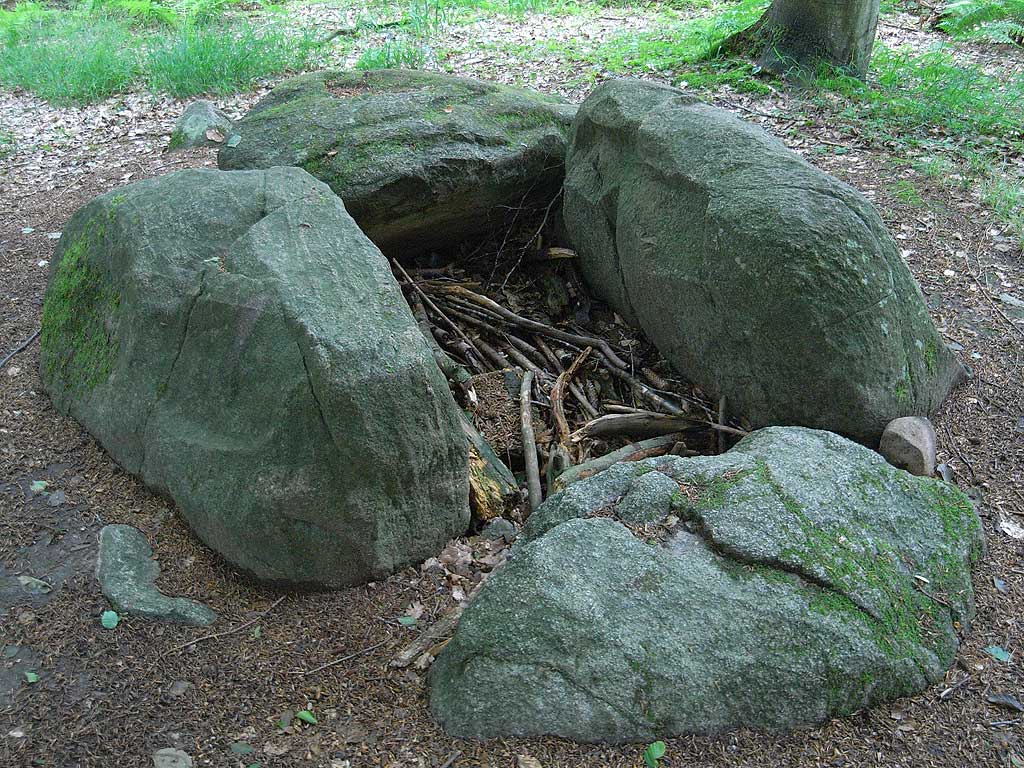 Sjellerup Skov Korssten Dysse