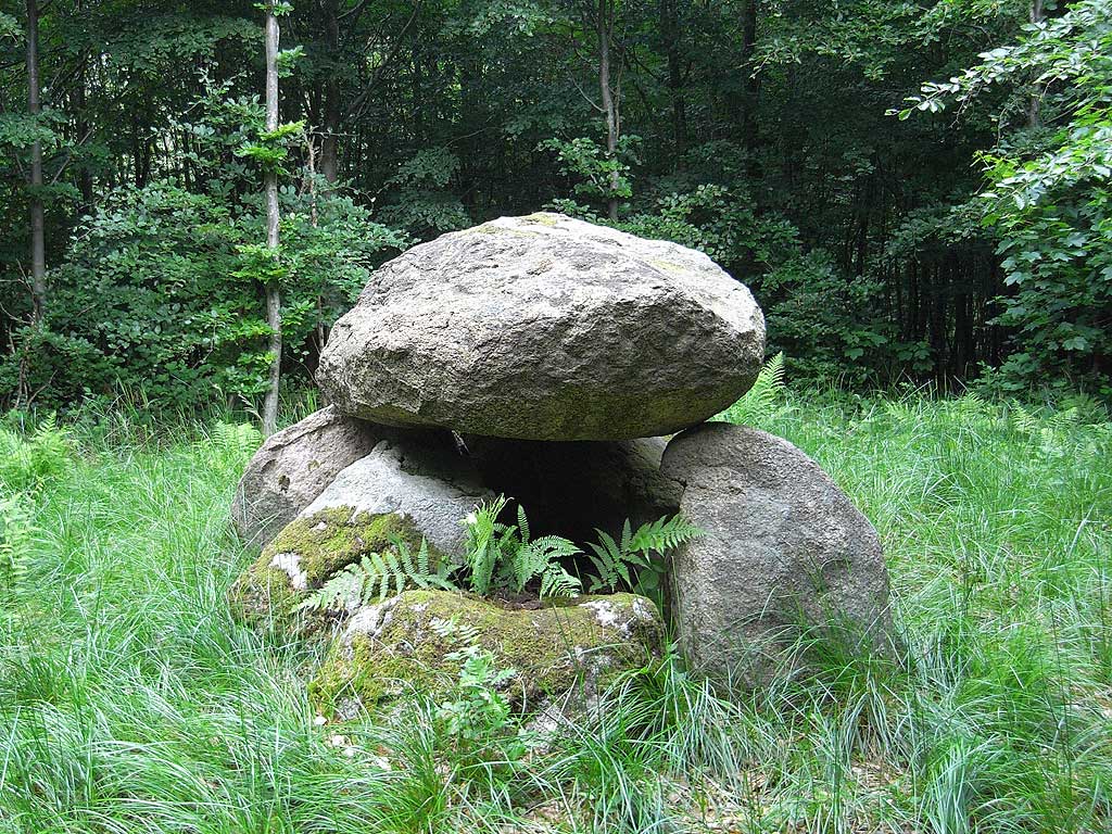 Sjellerup Skov Runddysse 1