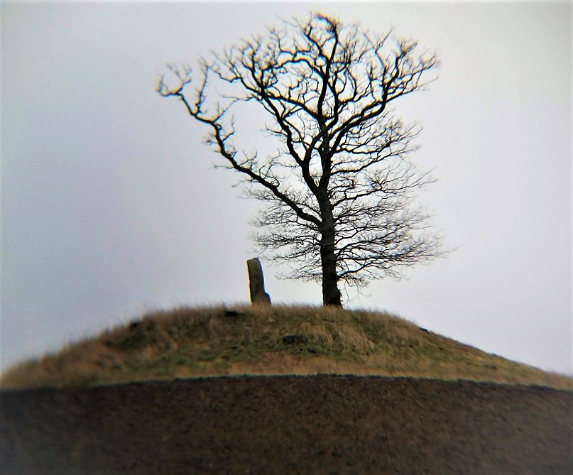 Click for the gallery page to add comments and vote (PID:193362) Skåningehøj og Bautasten